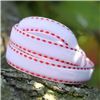 Order  Velvet Saddle Stitch Ribbon - White/Red